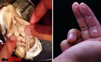 Bí quyết đưa vợ “lên đỉnh” nhiều lần trong 1 lần “yêu”